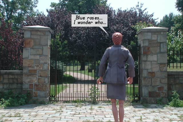 This is the Washington Street entrance to Bird Park in Walpole, MA.