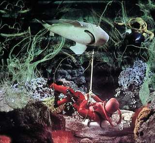 4. With a blow from his spear gun, Joe drove away the fish.